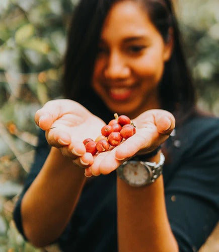 Kritikus Hotel mengunjungi Bali Beans! Peternakan Keluarga dengan Sejarah yang Kaya